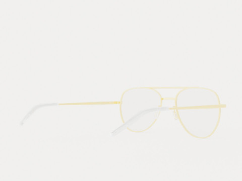 Eco - Brisbane Gold 5316 Glasses 3D Model