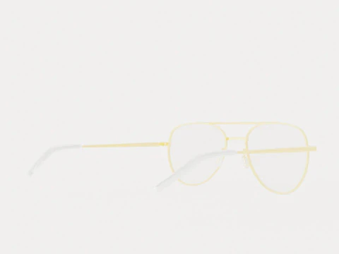 Eco - Brisbane Gold 5316 Glasses 3D Model