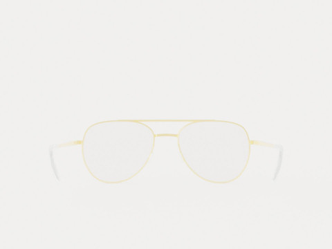 Eco - Brisbane Gold 5316 Glasses 3D Model