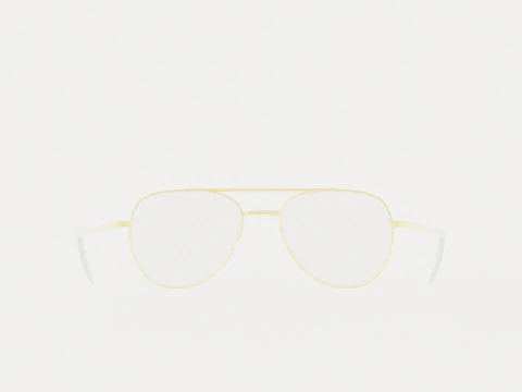 Eco - Brisbane Gold 5316 Glasses 3D Model