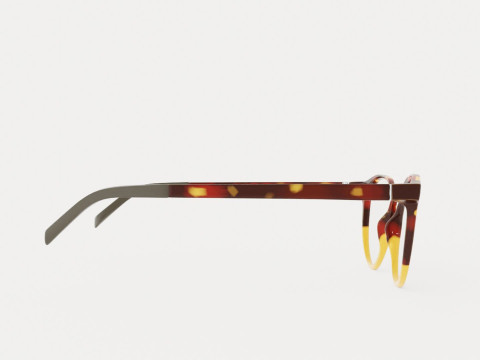Eco - Didessa Yttg Glasses 3D Model
