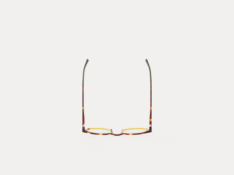 Eco - Didessa Yttg Glasses 3D Model