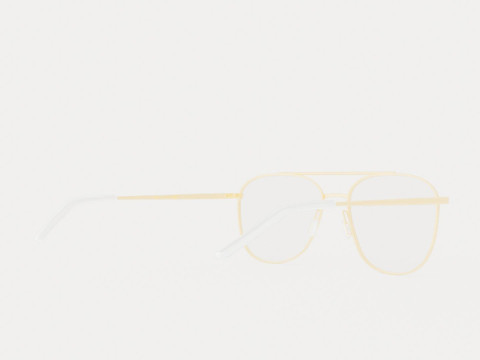 Eco - Edinburgh Gold Glasses 3D Model