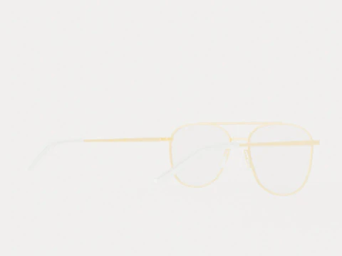 Eco - Edinburgh Gold Glasses 3D Model