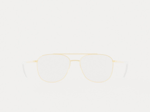 Eco - Edinburgh Gold Glasses 3D Model