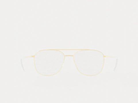 Eco - Edinburgh Gold Glasses 3D Model