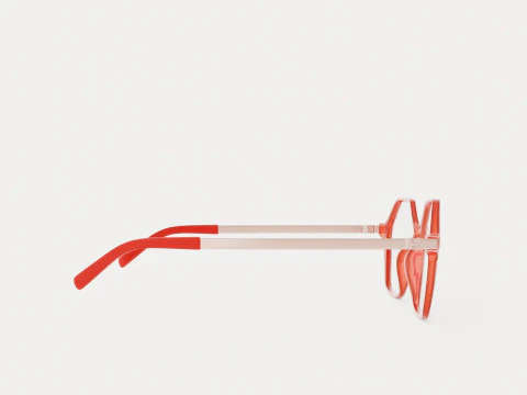 Eco - Gail Pink Coral Glasses 3D Model