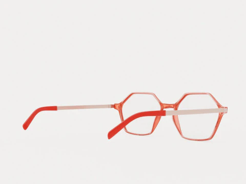 Eco - Gail Pink Coral Glasses 3D Model