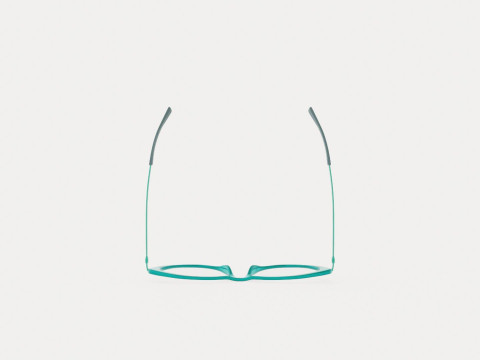 Eco - Iona Turquoise Glasses 3D 모델