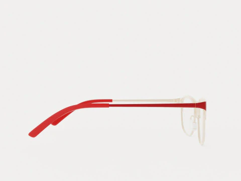 Eco - Maya Matte Burgundy Glasses 3D Model