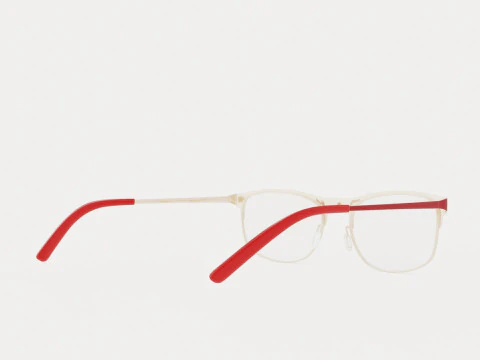 Eco - Maya Matte Burgundy Glasses 3D Model