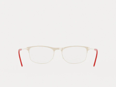 Eco - Maya Matte Burgundy Glasses 3D Model