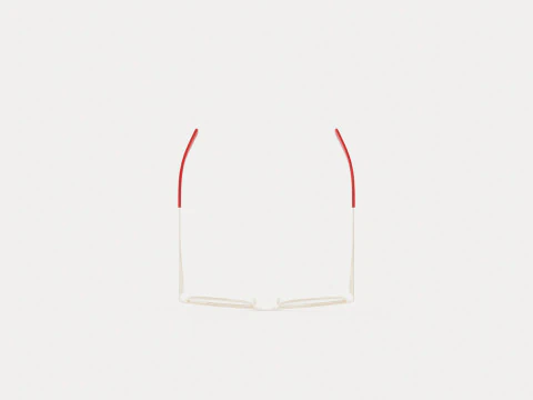 Eco - Maya Matte Burgundy Glasses 3D Model