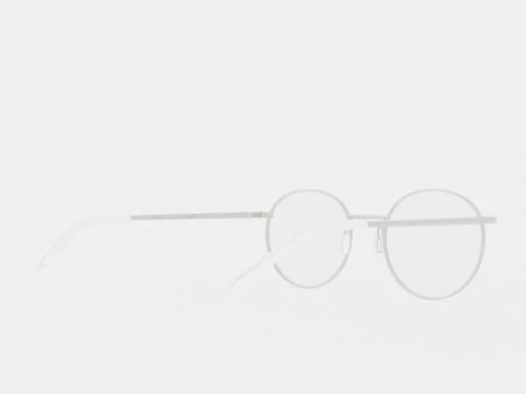 Eco - Naples Lavander Silver Glasses 3D Model