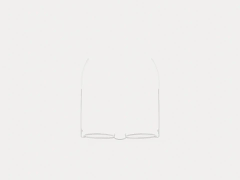 Eco - Naples Lavander Silver Glasses 3D Model