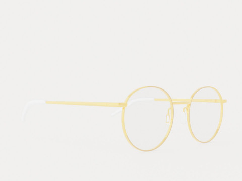 Eco - Naples Pink Rose Gold Glasses 3D Model