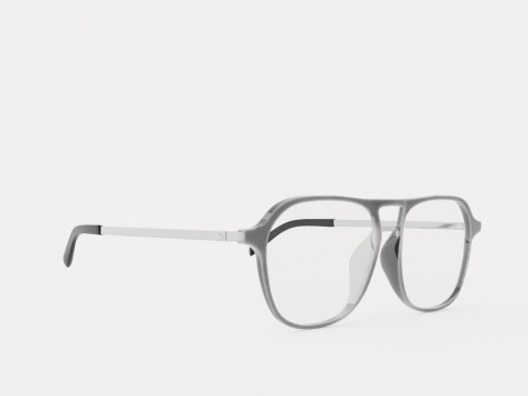 Eco - Nevado Smoke Grey Glasses 3D Model