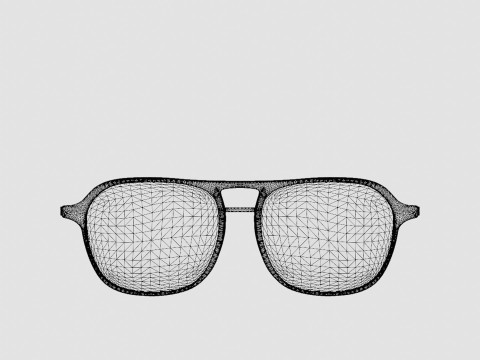 Eco - Nevado Smoke Grey Glasses 3D Modell