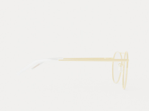 Eco - Osaka Gold Glasses Modello 3D