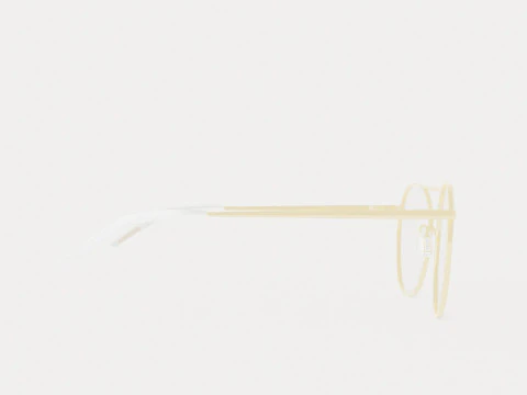 Eco - Osaka Gold Glasses 3D Model