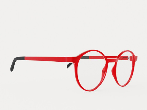 Eco - Piave Red 4819 Glasses Modelo 3D