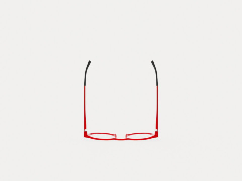 Eco - Piave Red 4819 Glasses Model 3D