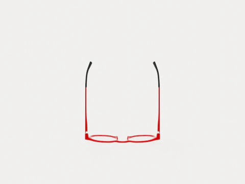 Eco - Piave Red 4819 Glasses 3D Model
