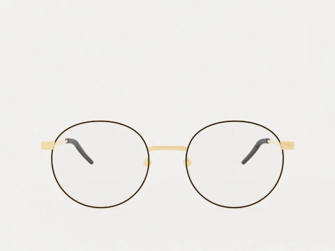 Eco - Quebec Black Gold Glasses 3D Model