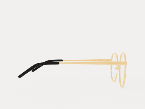 Eco - Quebec Black Gold Glasses 3D-Modell