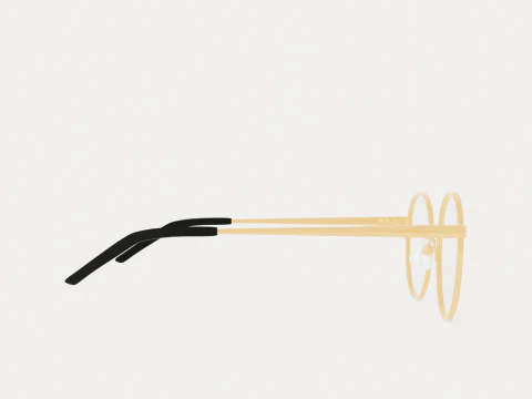 Eco - Quebec Black Gold Glasses 3D Model
