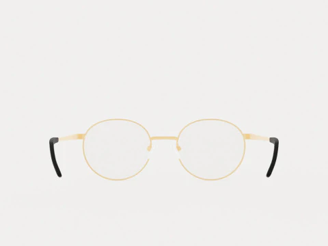 Eco - Quebec Black Gold Glasses 3D Model