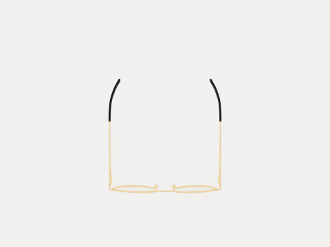 Eco - Quebec Black Gold Glasses 3D-Modell