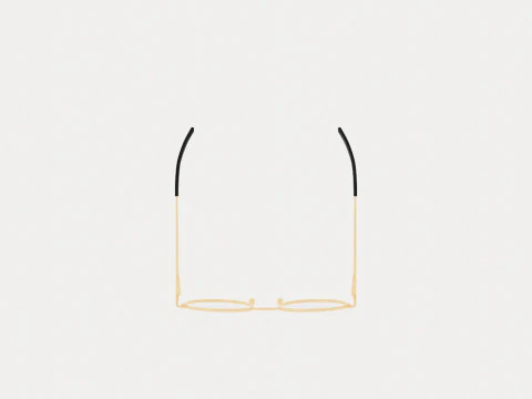 Eco - Quebec Black Gold Glasses 3D Model