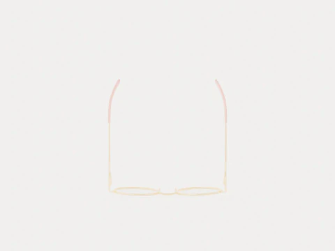 Eco - Verbier Pink Rose Gold Glasses 3D Model