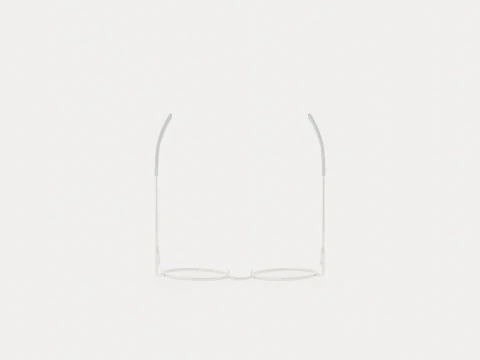 Eco - Verbier Silver Glasses 3D Model