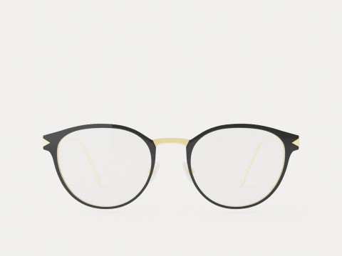 Fendi - FF 0167 F0G Glasses Modelo 3D