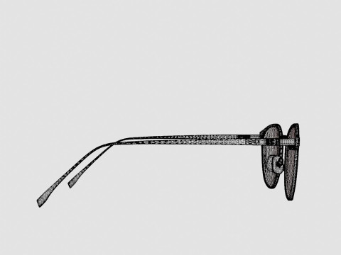 Fendi - FF 0167 F0G Glasses Modelo 3D