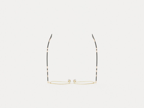 Fendi - FF 0386 J5G Glasses Modèle 3D