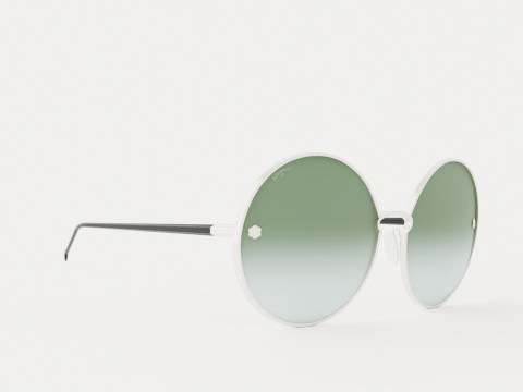 Ferragamo - SF189S 6317 Sunglasses 3D Model