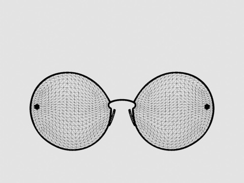 Ferragamo - SF189S 6317 Sunglasses 3D Model