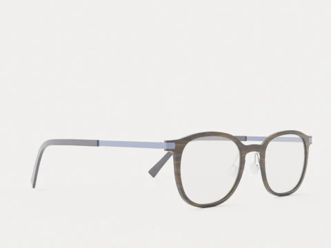 Fleye - Ditmar 4631 Brille 3D Modell