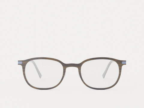 Fleye - Ditmar 4631 Glasses 3D 모델