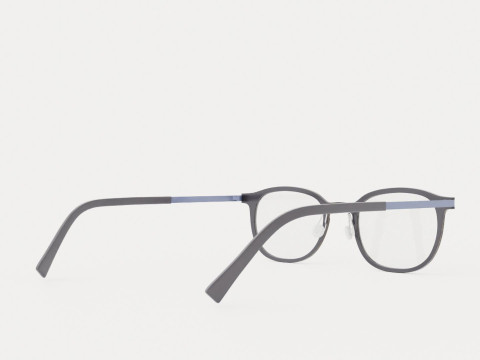 Fleye - Ditmar 4631 Glasses 3D 모델