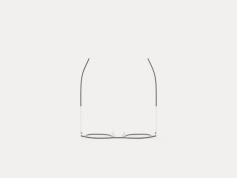 Fleye - Ditmar 4631 Glasses 3D 모델