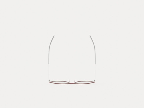 Fleye - Etna 4725 Glasses 3D Model