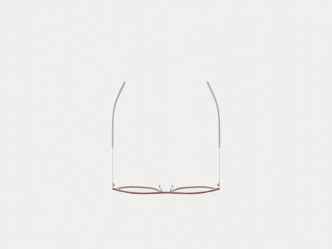 Fleye - Etna 4725 Glasses 3D Model