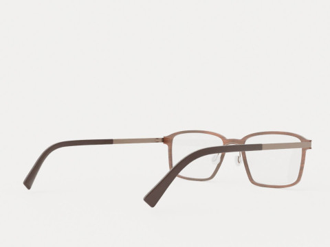 Fleye - Hassel 4631 Glasses 3D Model