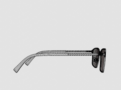 Fleye - Hassel 4631 Glasses 3D Model