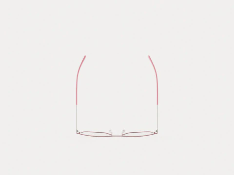 Fleye - Mai 515 Glasses 3D Model