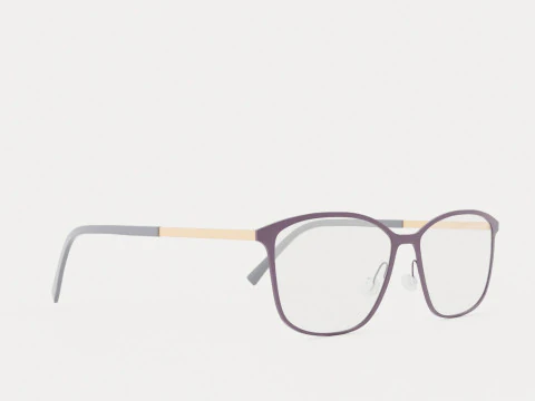 Okulary Fleye-Mai 3010 Model 3D